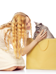 Similar image 5628370