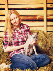 Similar image 5628371