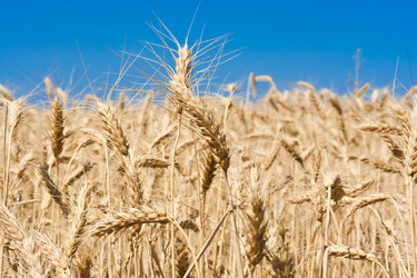 Similar image 5628403