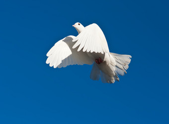 Similar image 5628470