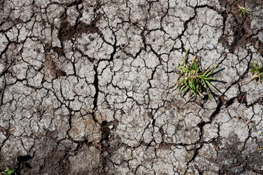 Similar image 5628478