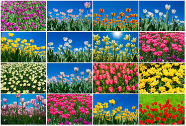 Similar image 5628497