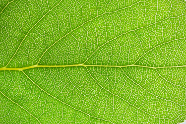 Similar image 5628510