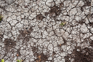 Similar image 5628522