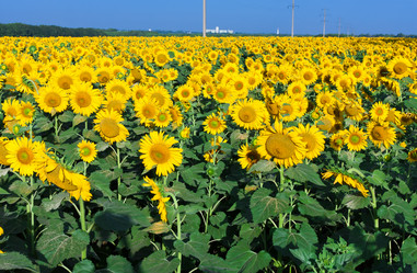 Similar image 5628540