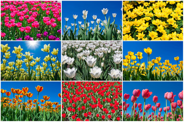 Similar image 5628541