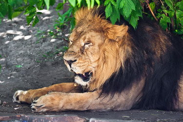 Similar image 5628546