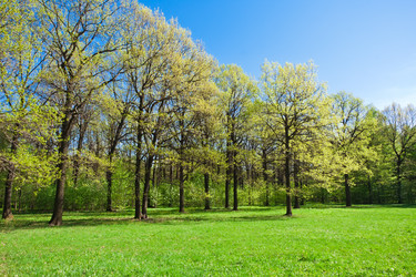 Similar image 5628550