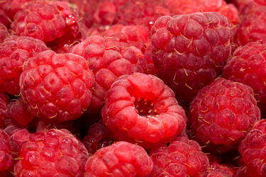 Similar image 5628562