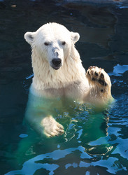 Similar image 5628589