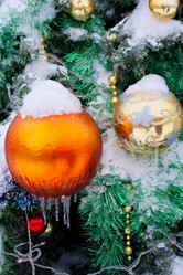 Similar image 5628640