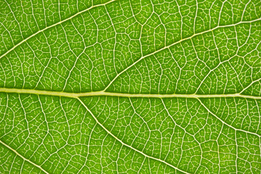 Similar image 5628642