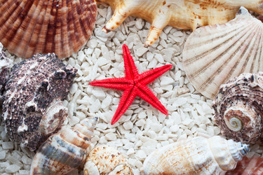 Similar image 5628650