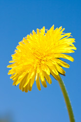 Similar image 5628652