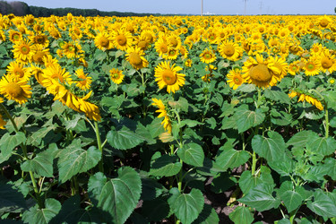 Similar image 5628662