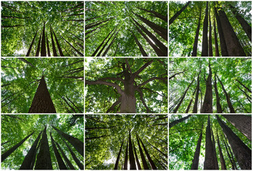 Similar image 5628671