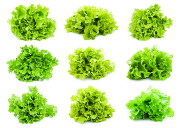 Similar image 5628689