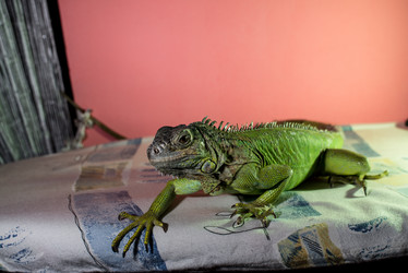 Similar image 5629020