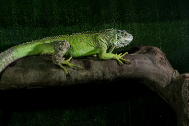 Similar image 5629022