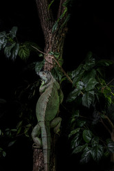 Similar image 5629025