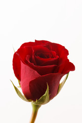 Similar image 5629050