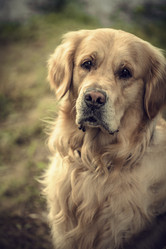 Similar image 5629057