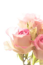 Similar image 5629058