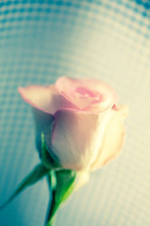 Similar image 5629059