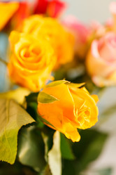 Similar image 5629061