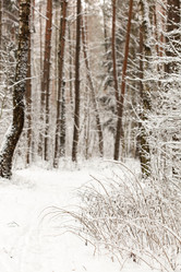 Similar image 5629063