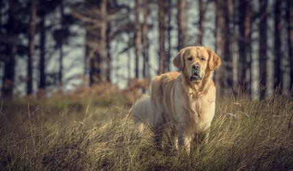 Similar image 5629065