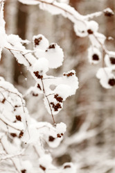 Similar image 5629072