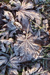 Similar image 5629077