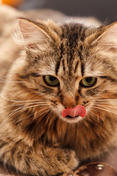 Similar image 5629087