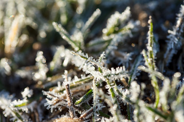 Similar image 5629093