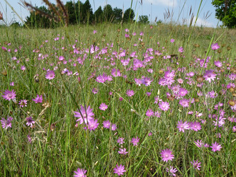 Similar image 5629106