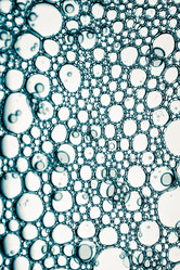 Similar image 5629125