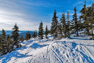 Similar image 5629301