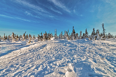 Similar image 5629308