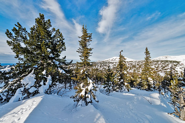 Similar image 5629312