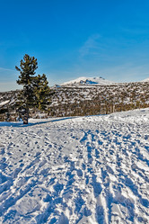 Similar image 5629329