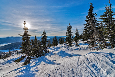 Similar image 5629335