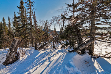 Similar image 5629337