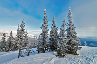 Similar image 5629351