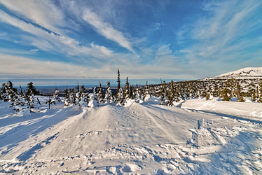 Similar image 5629361