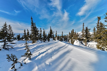 Similar image 5629368