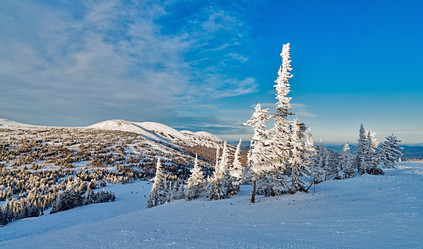 Similar image 5629387