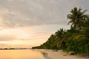 Similar image 5630113