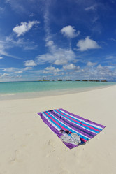 Similar image 5630139