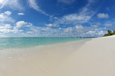 Similar image 5630141